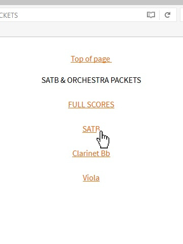 pacchetti_satb